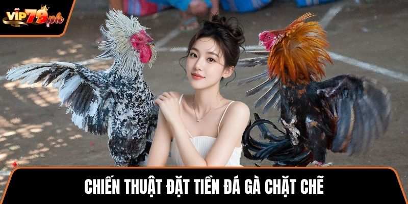 Chiến thuật đặt tiền đá gà chặt chẽ