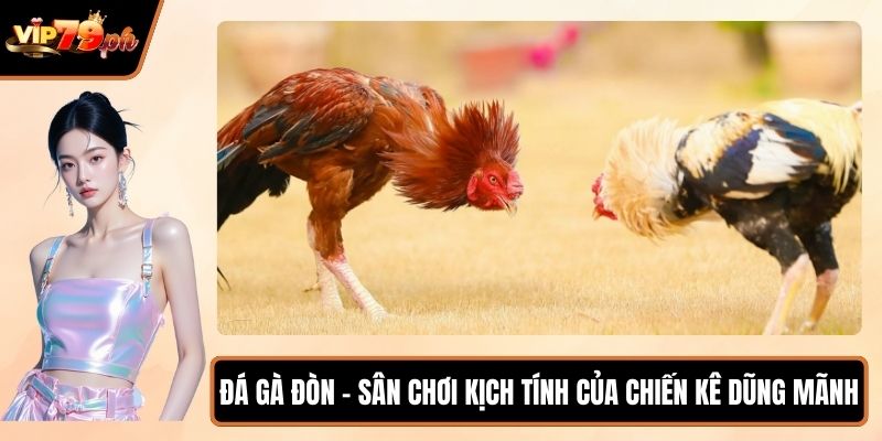 Đá gà đòn