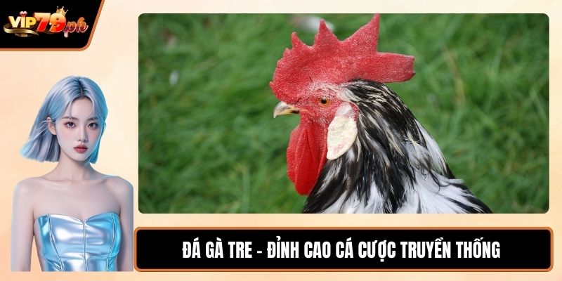 Đá gà tre