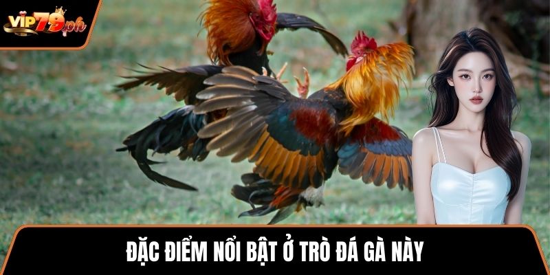 Đặc điểm nổi bật ở trò đá gà này