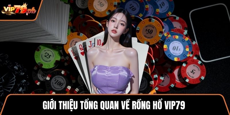 Giới thiệu tổng quan về rồng hổ VIP79