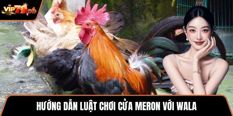 Hướng dẫn luật chơi cửa Meron với Wala