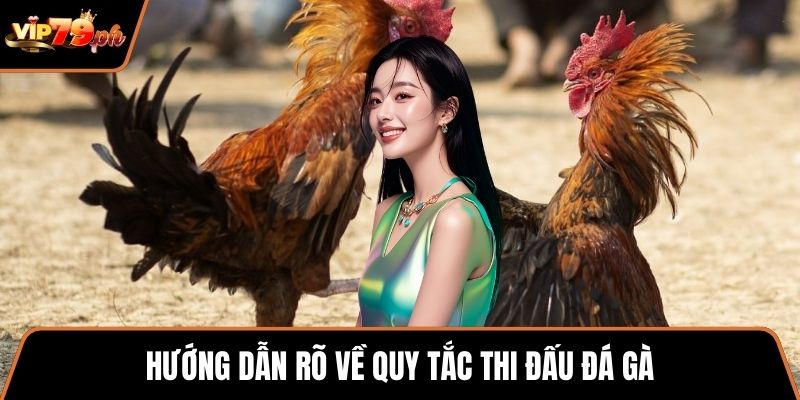 Hướng dẫn rõ về quy tắc thi đấu đá gà