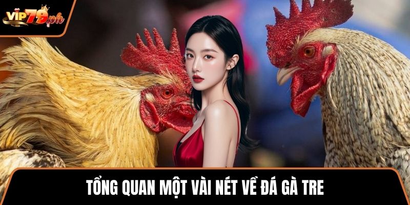 Tổng quan một vài nét về đá gà tre
